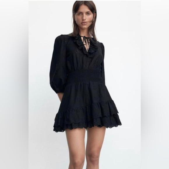 Zara Embroidered Eyelet Black Ruffle Mini dress - Picture 1 of 7